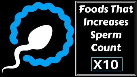 6 Best Foods That Actually Increase Sperm Count In Men Best Fertility Foods Youtube
