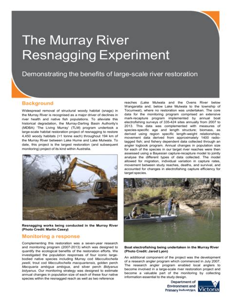 Murray River Resnagging Experiment Fact Sheet Accessible Version