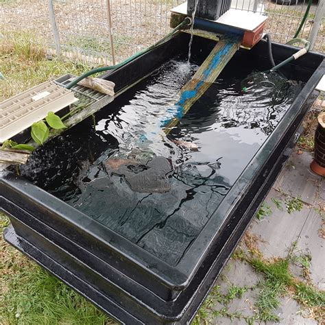 Aquarium Fish Tank Pond Fgt Tub Fiberglass 6x3x25 Fiber Pet