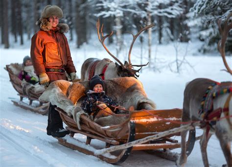 reindeer ride in rovaniemi in lapland in santa claus village finland rovaniemi santa claus