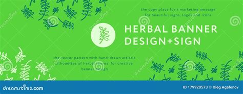 Vector Herbal Banner With Drawings Of Herbs Leaves Natural Cosmetic