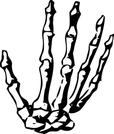 Hand Skeleton Skeleton Hand Halloween Human Free Image From Needpix Com