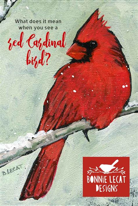 Cardinal Bird Meaning Since Cardinal Is A Resident Bird It Is Around