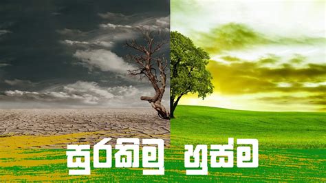 Surakimu Husma Parisaraya Surakimu Protect Environment Sri Lanka