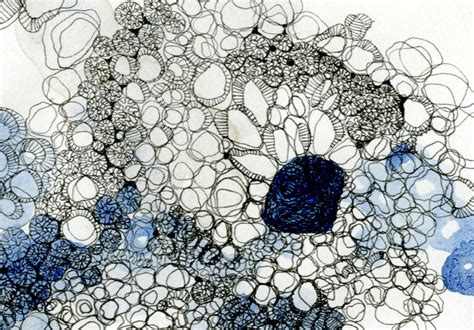 Cell Drawings Jane Layton Jewellery Growth And Decay Microscopic