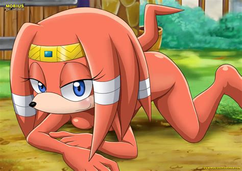 rule 34 bbmbbf furry mobius unleashed palcomix sega sonic series sonic x tikal the echidna