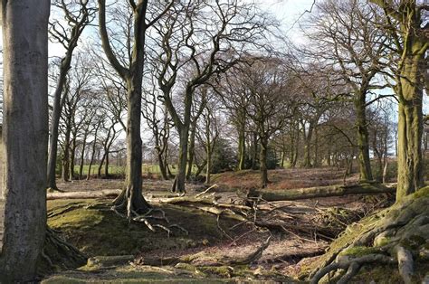 These packs are inspired by my love of monochrome and colour film and include a full set of profiles, presets and utility options to recreate an extremely specific filmlike look for your black and white photographs. Fujifilm FinePix X100 Landscape Sample Photos | ePHOTOzine