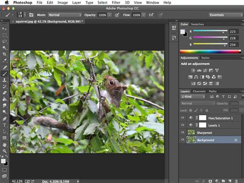 Photoshop Basics Getting To Know The Photoshop Interface