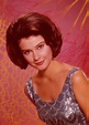 30 Beautiful Photos of American Actress Diane Baker in the 1960s ...