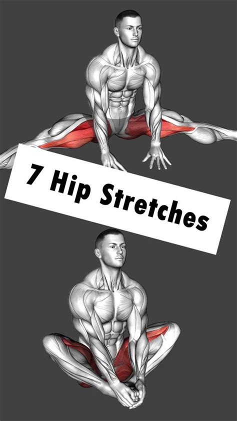 ᴀʀᴛ ᴏꜰ ᴘʜʏꜱɪqᴜᴇ on twitter rt cadioarena 7 hip stretches exercises that will majorly level