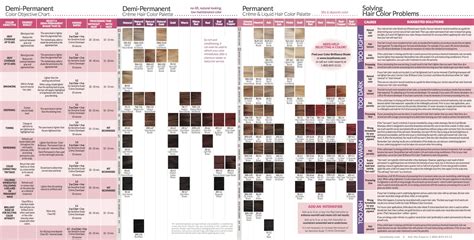 Ion Hair Color Chart For Beginners And Everyone Else Lewigs Ion