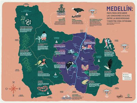 Mapa Biodiversidad De Medellínparque Explora2016 On Behance
