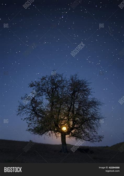 Moon Rising Over Image And Photo Free Trial Bigstock