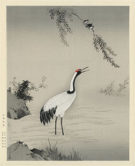 A Traditional Portrait Of A Beautiful Japanese Crane By Ka Flickr