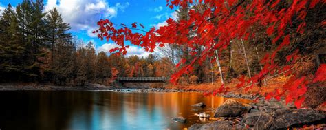 Fall Panoramic Wallpapers Top Free Fall Panoramic Backgrounds