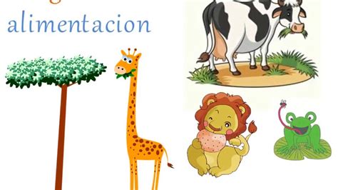 Para NiÑos Clasificacion De Los Animales Segun Su Alimentacion