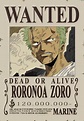 One Piece ~ Wanted (Carteles de Busqueda) | AnimeenDirecto