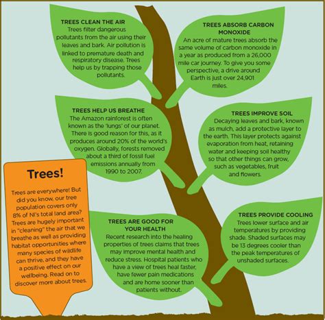 Growing Trees From Seed At Tcvs Tree Nursery And 6 Reasons Why Trees