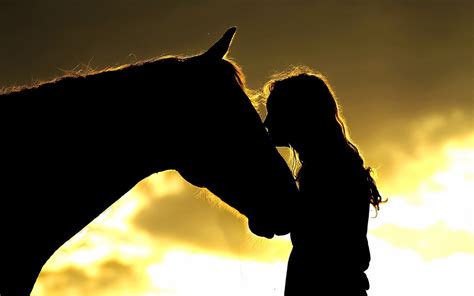 Weitere ideen zu hintergrundbilder, bilder, hintergrund. Silhouette eines mädchen mit pferd | HD Hintergrundbilder