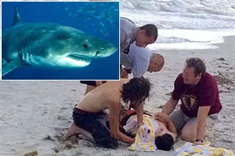 Second Shark Attack Could Not Have Been Stopped Says Mayor After Two