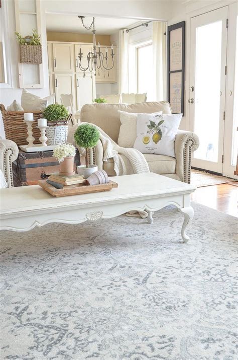 Farmhouse Style Living Room With Neutral Area Rug