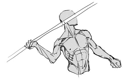 Torso Muscle Anatomy Drawing How To Draw And Shade The Human Torso