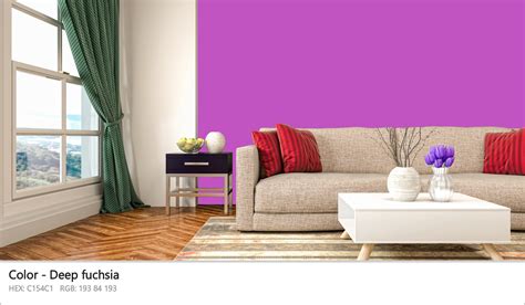 About Deep Fuchsia Color Meaning Codes Similar Colors And Paints