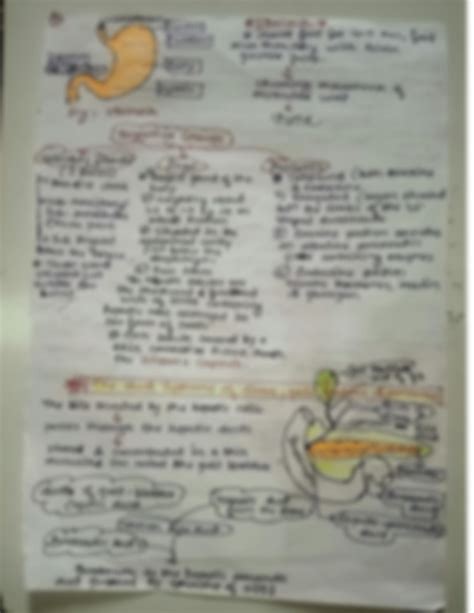 Solution Digestion And Absorption Handwritten Notes Studypool