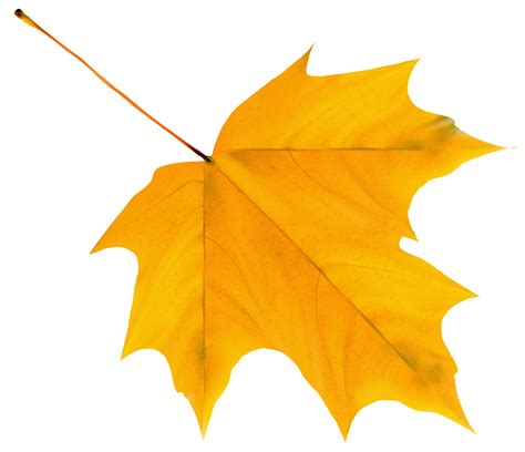 Falling Autumn Leaves Png