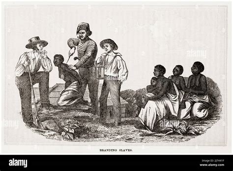 White Slave Traders Branding Captured African Female Slaves Engraving