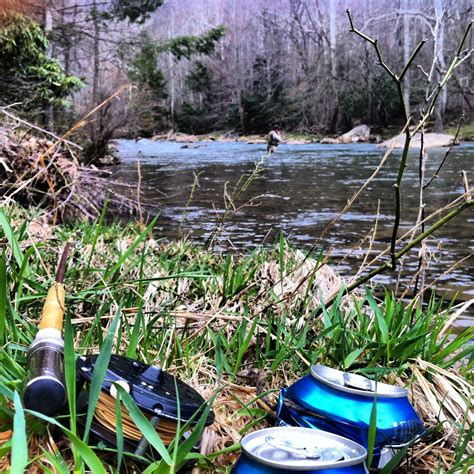 Perfect Evening | Fly fishing, Plants, Fish