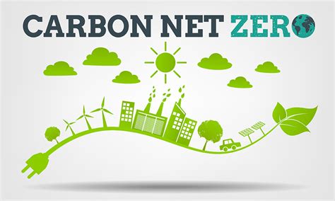 5 Steps To Help You On Your Carbon Net Zero Journey CCS