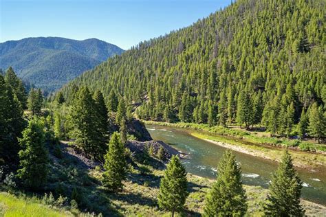 7 Best National Forests In Idaho Planetware