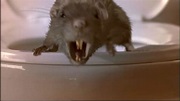 The Rats - Lektor Cda