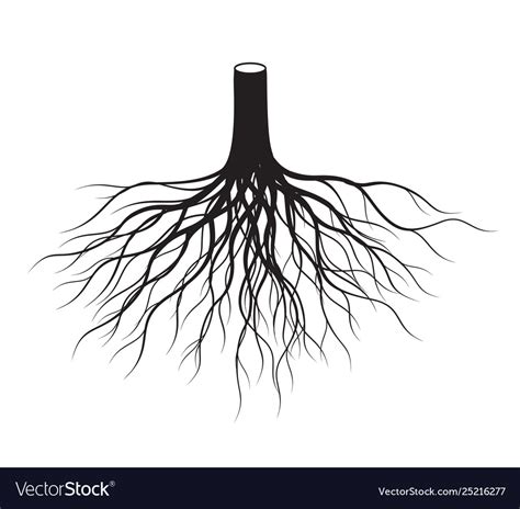 Black Tree Roots Royalty Free Vector Image Vectorstock