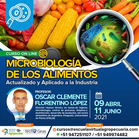Curso On Line Microbiología De Los Alimentos Actualizado Y Aplicado
