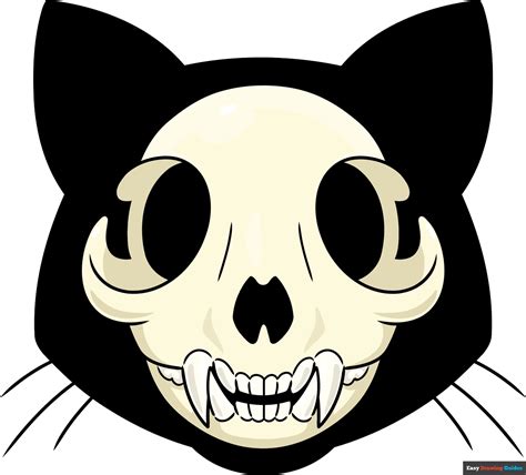 how to draw a cat skull really easy drawing tutorial