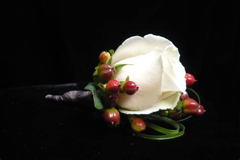 We did not find results for: Pin on It's Prom Season in Albany NY!