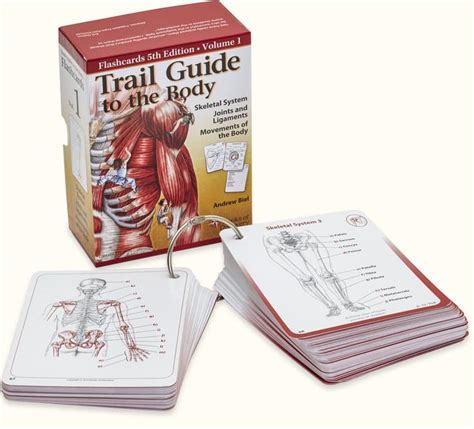 Trail Guide To The Body Workbook Telegraph