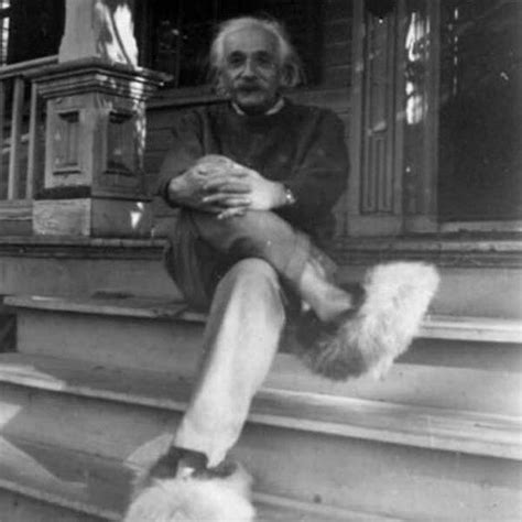 Albert Einstein Chaussé De Pantoufles Poilues Albert Einstein Fuzzy