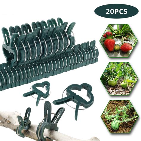 Leerui Plant Support Clips Flower And Vine Clips Garden Tomato Plant