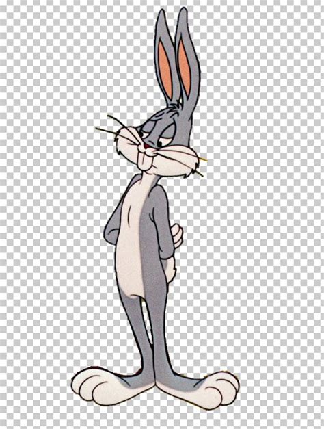 Bugs Bunny Lola Bunny Daffy Duck Cartoon Rabbit Png Clipart Animals