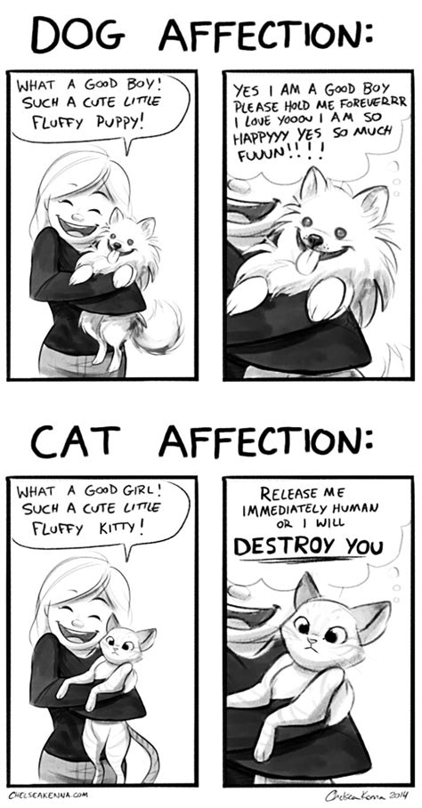 Funny Comics Illustrate The Differences Between Cats And