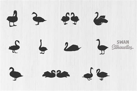 Swan Silhouettes Swan Svg Swan Vector Graphic By Designlands