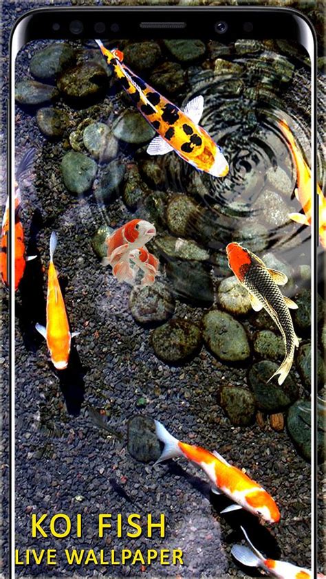 Aquarium 3d live wallpaper pro is pixign,fishes,wallpaper,personalization,aquarium,live, content the latest version of 1.2.2 available for download. 3D Koi Fish Wallpaper HD Fish Live Wallpapers Free for ...