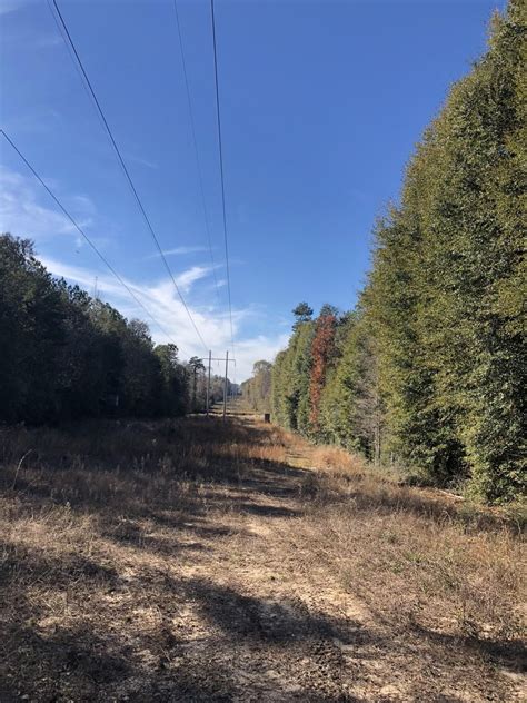 Booth Road, Florala, AL 36442 | Land.com