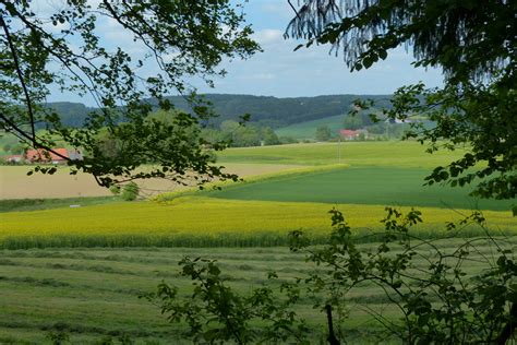Wiese Und Felder Foto And Bild Landschaft Äcker Felder And Wiesen