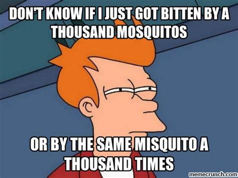 Why Do Mosquitos Bite Me And Not My Friend