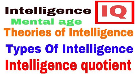 Intelligence Meaning Type And Theory Intelligence Quotient Iq Ctet