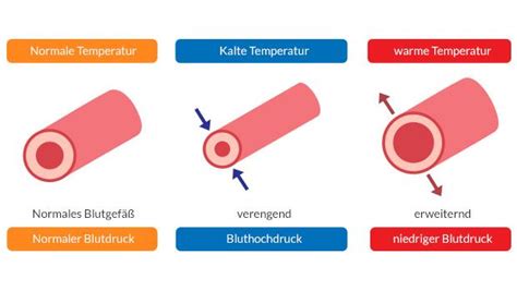 Blutdrucktabelle Was Ihre Zahlen Bedeuten Euroclinix